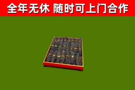 梁溪回收海参
